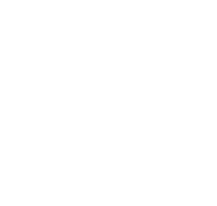 Carplay and Android Auto